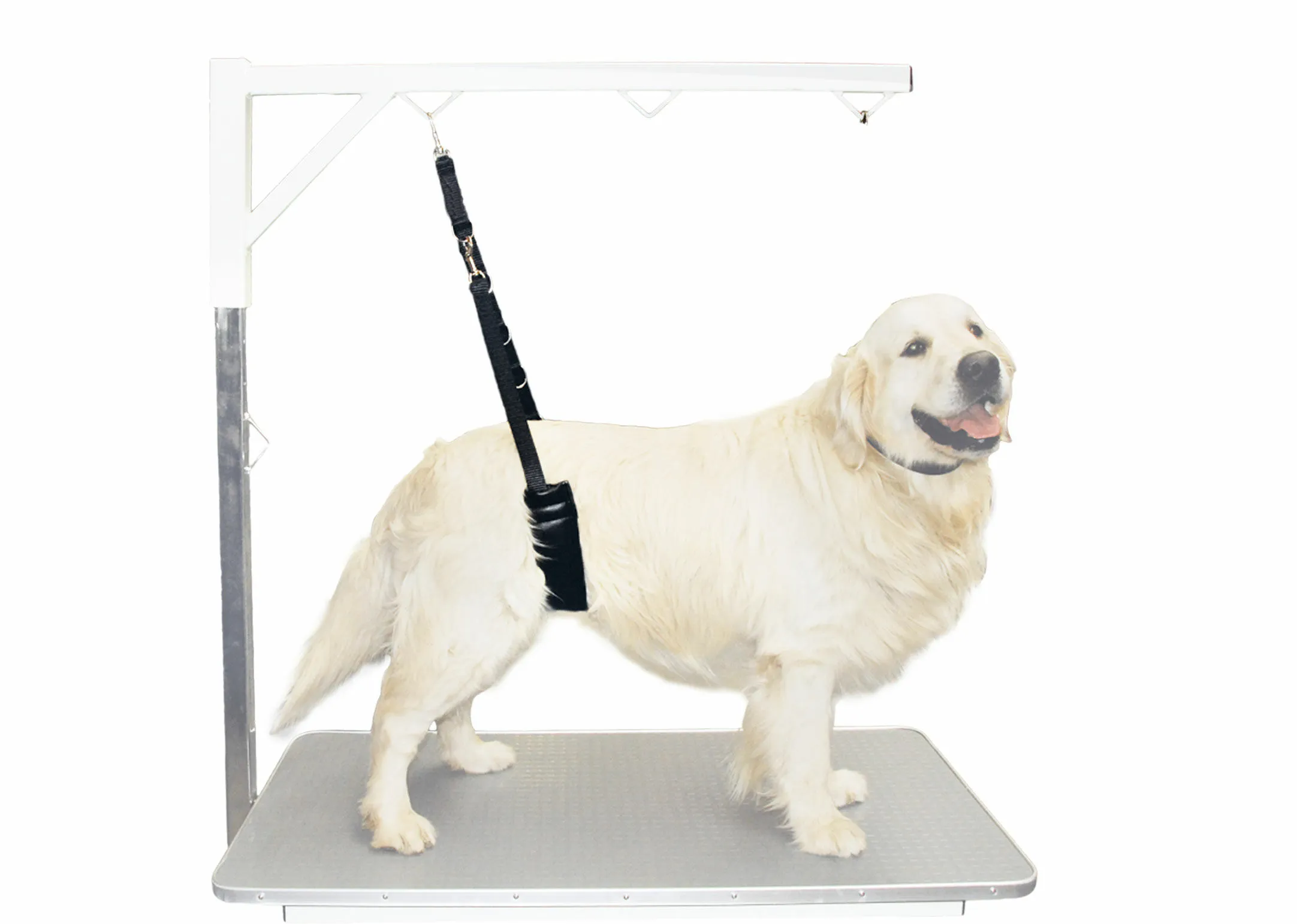 Fascia Addominale Show Tech Comfort per Cani di Taglia Grande - immagine 3