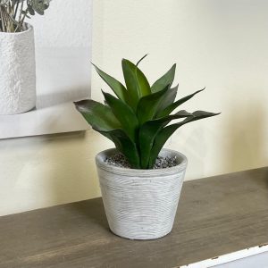 Pianta in vaso “Lines”