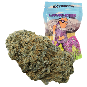 LAVANDER KUSH – 5g – Extracta
