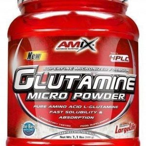 Glutamine Micro Powder 500g