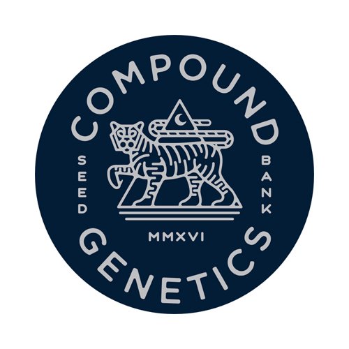 BLUE AGAVE (COMPOUND GENETICS CUT) – Special Selection (PREORDINE) - immagine 2