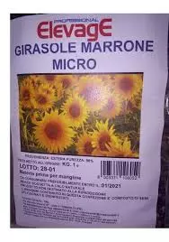 ELEVAGE | Girasole marrone micro ( confezione da 1kg )