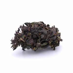 BLACKBERRY KUSH – Bear Bush Selection