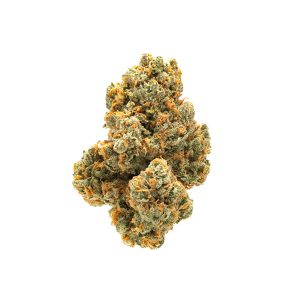 MANDARILLA – Bear Bush