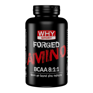 FORGED™ AMINO 150CPR – Why Sport