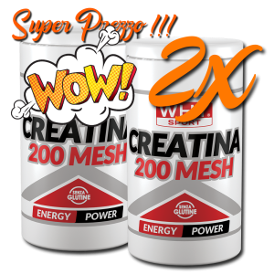 CREATINA 200 MESH 500g – Why Sport – 2x